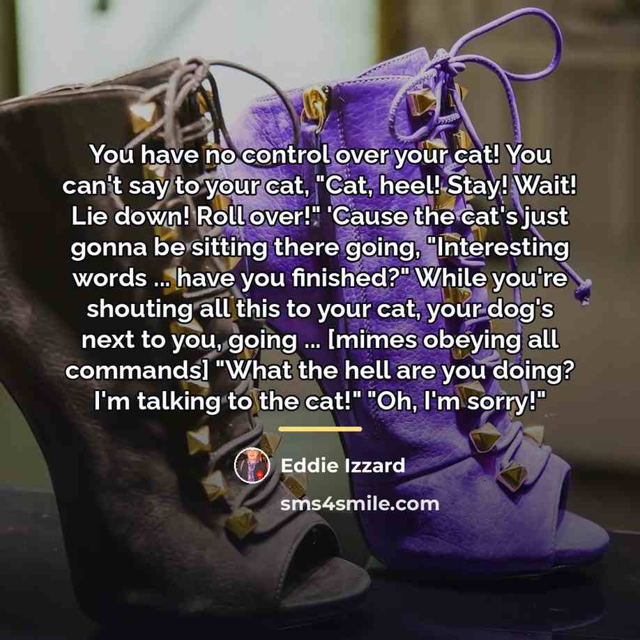 “You have no control over your cat! You can't say…” quote by Eddie Izzard