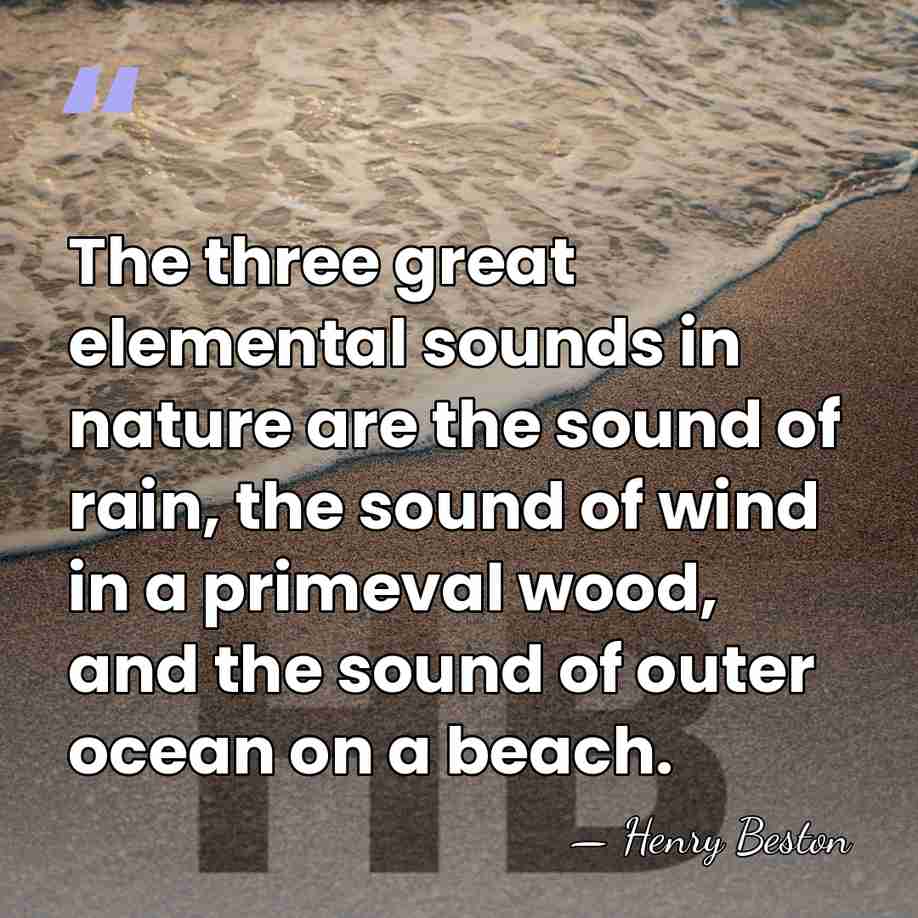 The three great elemental sounds in nature are the sound of rain,&hellip; - Henry Beston