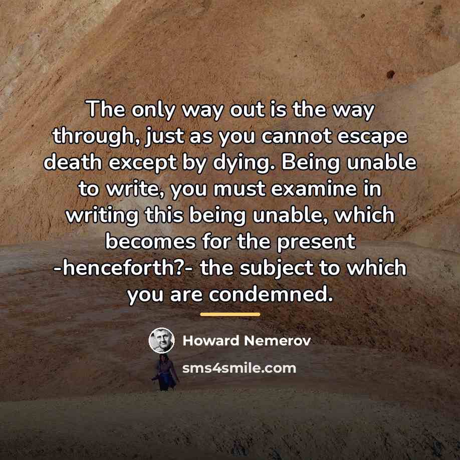 “The only way out is the way through, just as…” quote by Howard Nemerov
