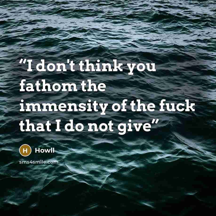 “I don't think you fathom the immensity of the fuck that I do not give” quote by Howll
