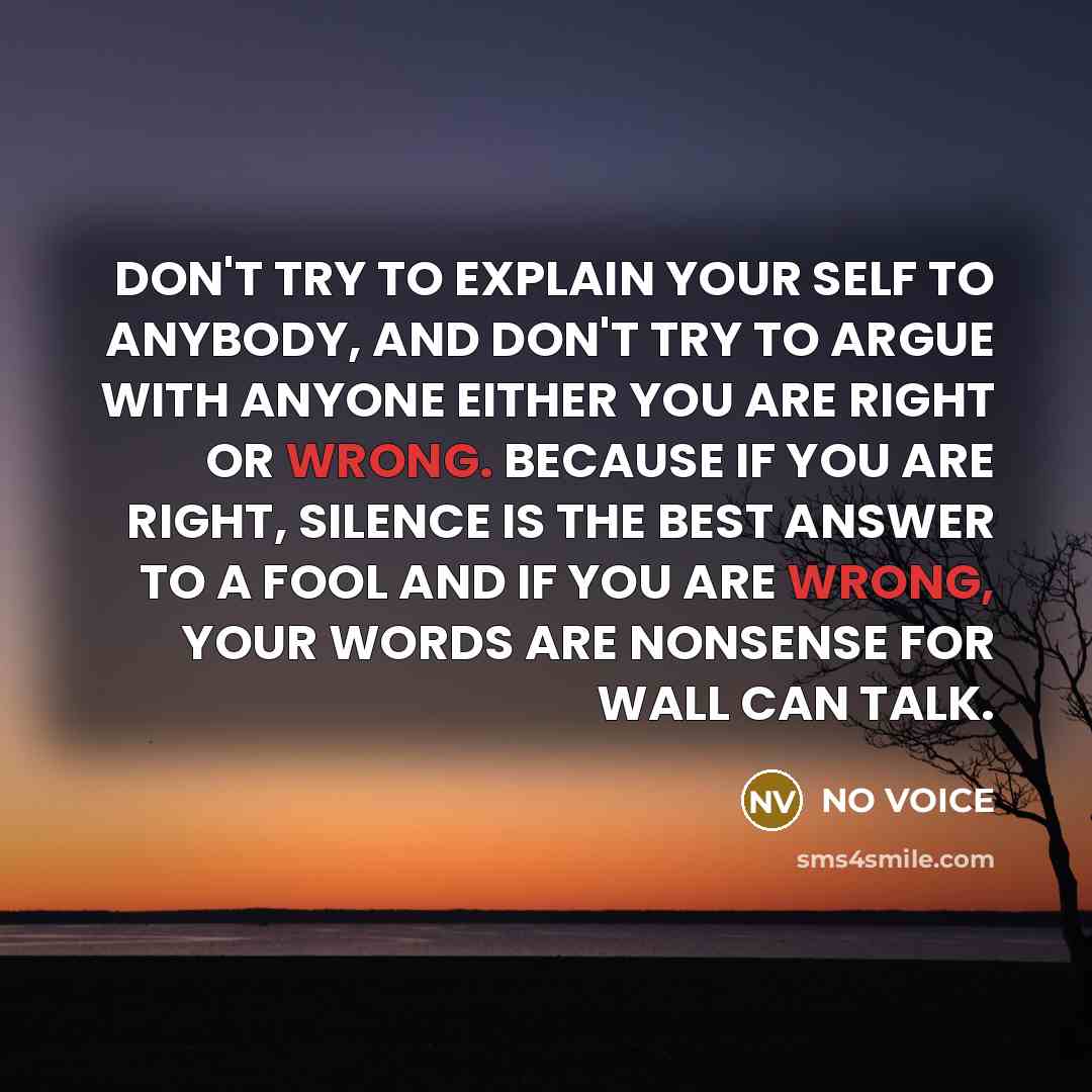 “DON'T TRY TO EXPLAIN YOUR SELF TO ANYBODY, AND DON'T TRY TO ARGUE WITH ANYONE EITHER YOU ARE RIGHT OR WRONG. BECAUSE IF YOU ARE RIGHT, SILENCE IS THE BEST ANSWER TO A FOOL AND IF YOU ARE WRONG, YOUR WORDS ARE NONSENSE FOR WALL CAN TALK.” quote by NO VOICE