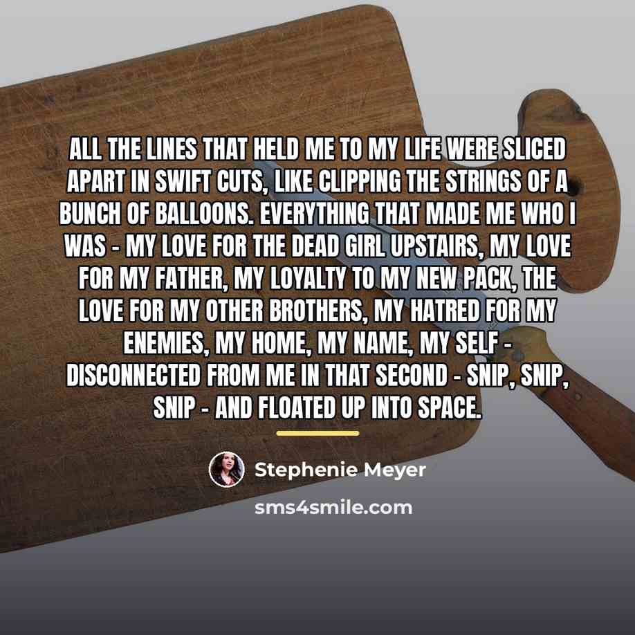 “All the lines that held me to my life were…” quote by Stephenie Meyer