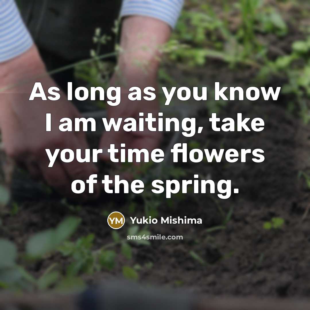 “As long as you know I am waiting, take your…” quote by Yukio Mishima
