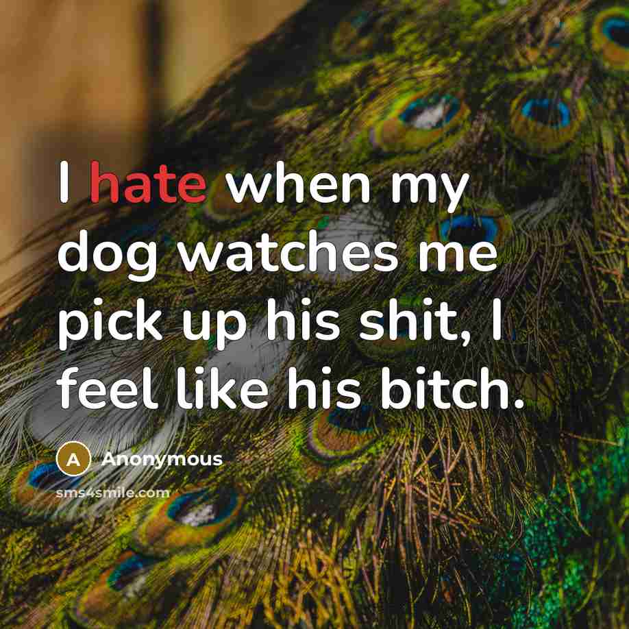 “I hate when my dog watches me pick up his shit, I feel like his bitch.” quote by Anonymous