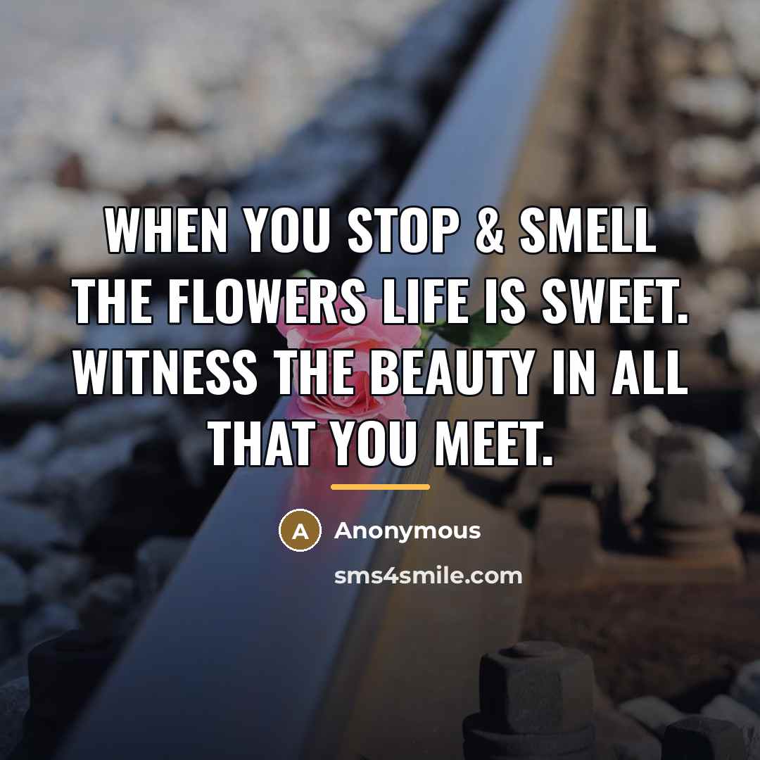 “When you stop & smell the flowers life is sweet.…” quote by Anonymous