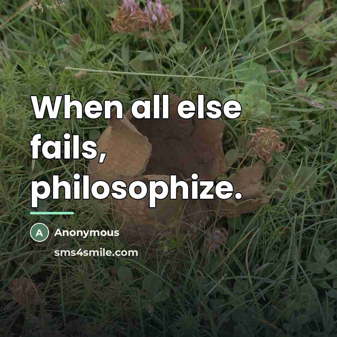 “When all else fails, philosophize.…” quote by Anonymous