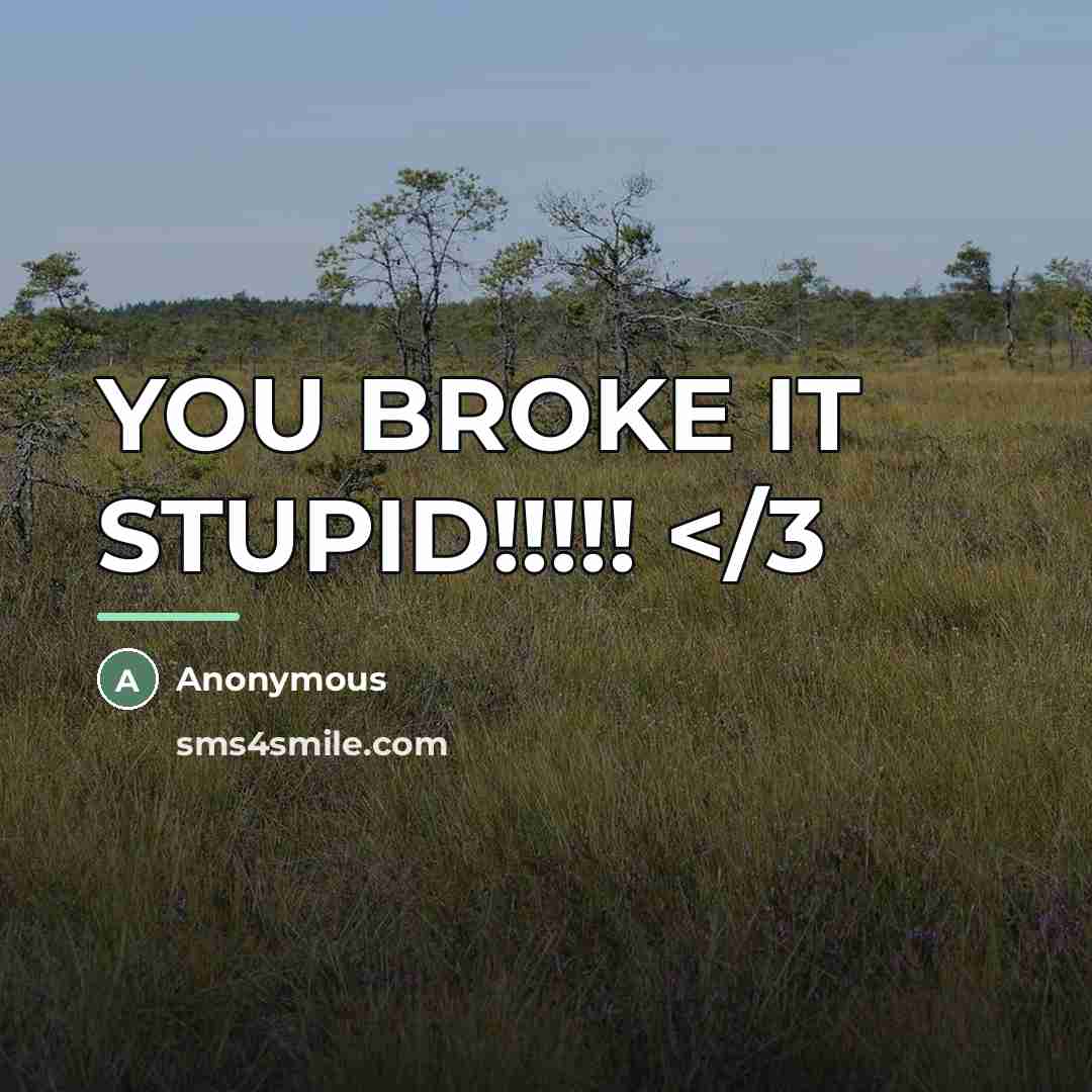 “YOU BROKE IT STUPID!!!!!…” quote by Anonymous