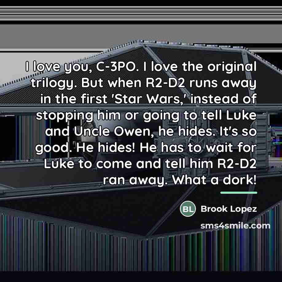 “I love you, C-3PO. I love the original trilogy. But…” quote by Brook Lopez