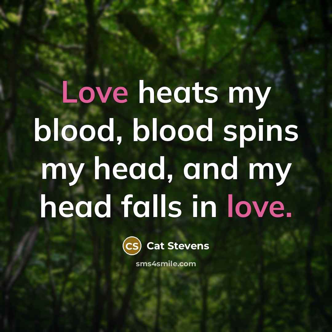 “Love heats my blood, blood spins my head, and my…” quote by Cat Stevens