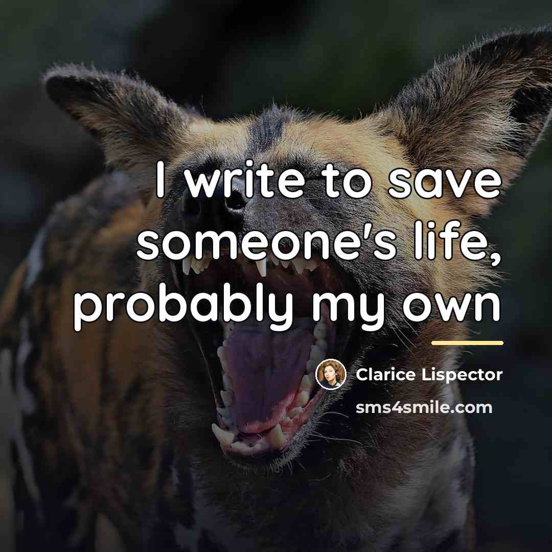 “I write to save someone's life, probably my own…” quote by Clarice Lispector