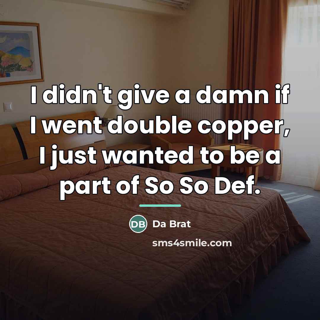 “I didn't give a damn if I went double copper,…” quote by Da Brat