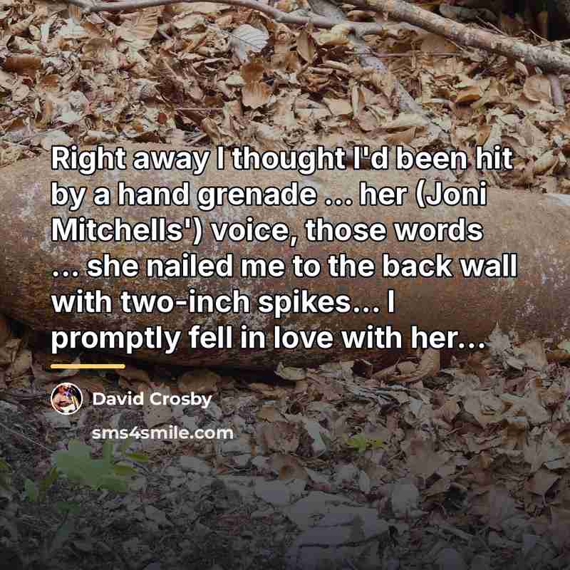 “Right away I thought I'd been hit by a hand…” quote by David Crosby