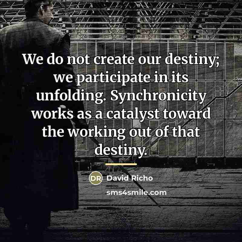 “We do not create our destiny; we participate in its…” quote by David Richo