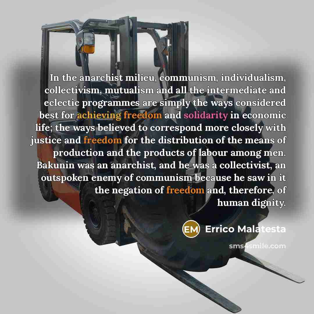 “In the anarchist milieu, communism, individualism, collectivism, mutualism and all…” quote by Errico Malatesta