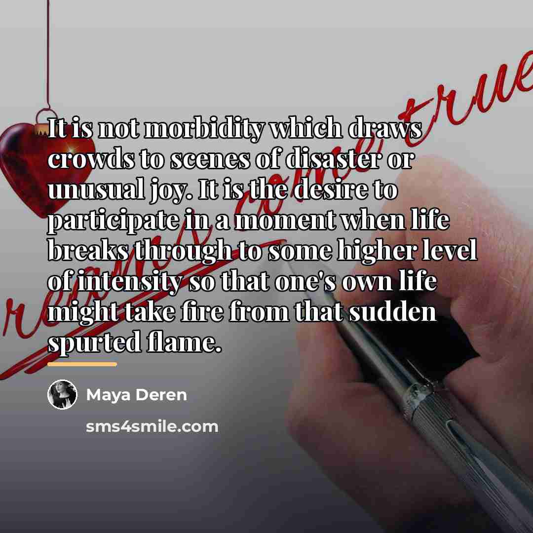 “It is not morbidity which draws crowds to scenes of…” quote by Maya Deren