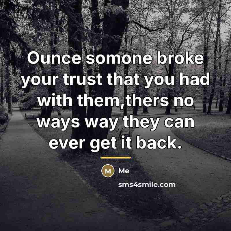“Ounce somone broke your trust that you had with them,thers…” quote by Me