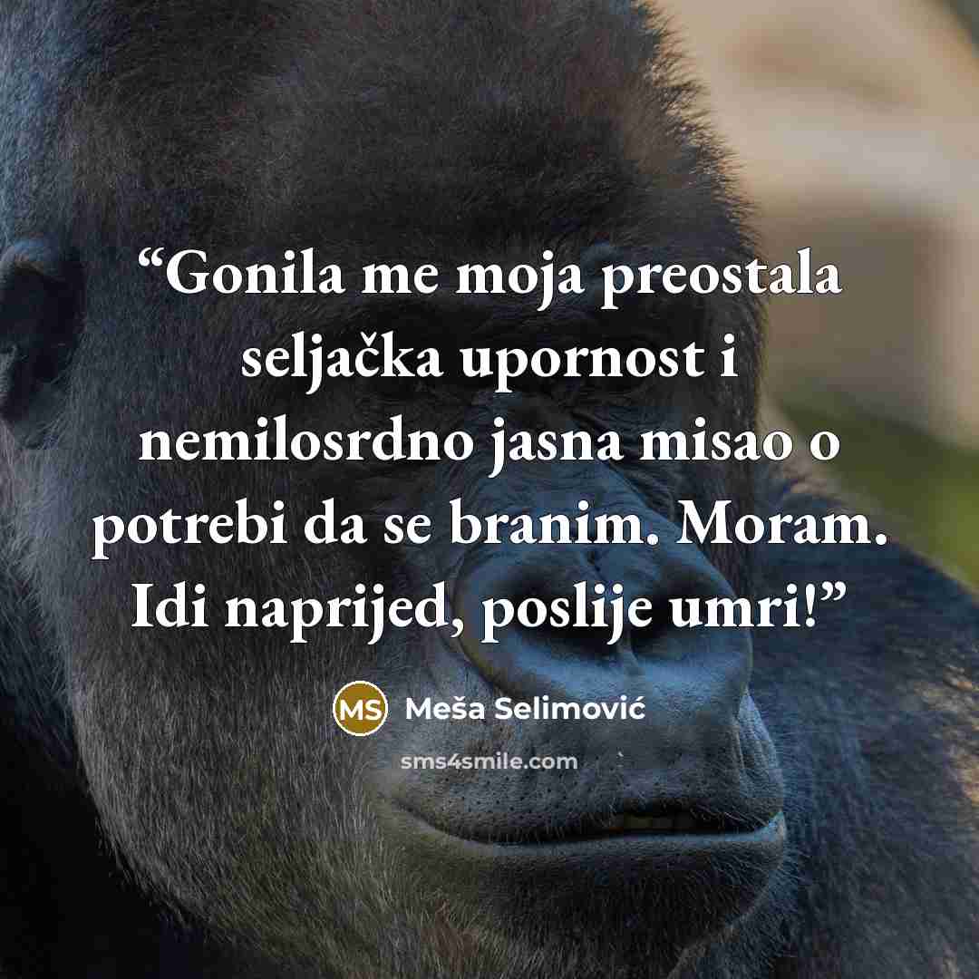 “Gonila me moja preostala seljačka upornost i nemilosrdno jasna misao o potrebi da se branim. Moram. Idi naprijed, poslije umri!” quote by Meša Selimović