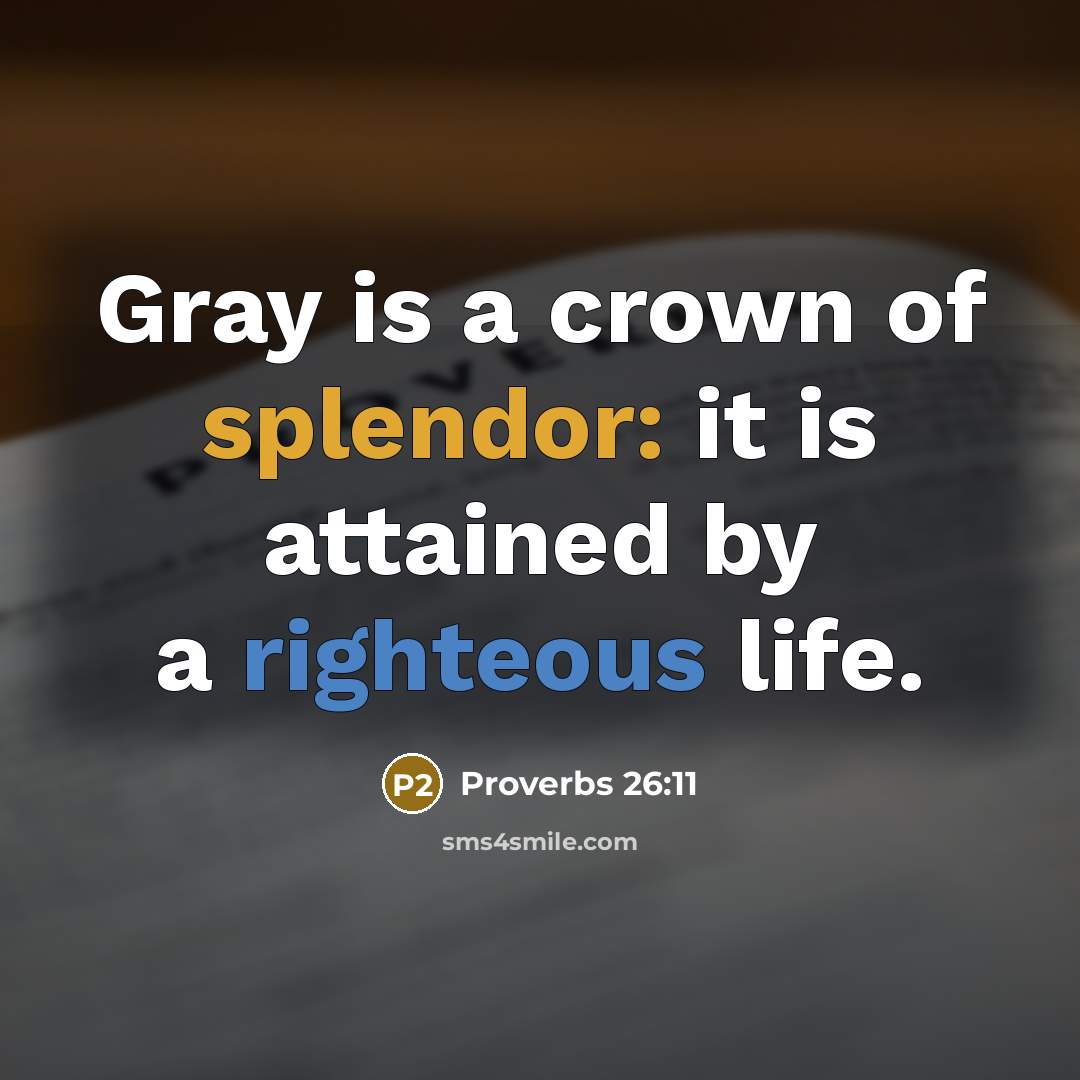 “Gray is a crown of splendor: it is attained by a righteous life.” quote by Proverbs 26:11