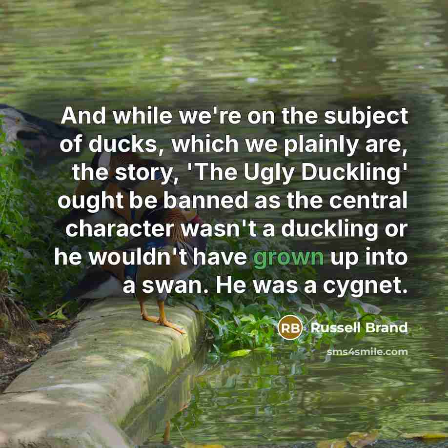 “And while we're on the subject of ducks, which we…” quote by Russell Brand