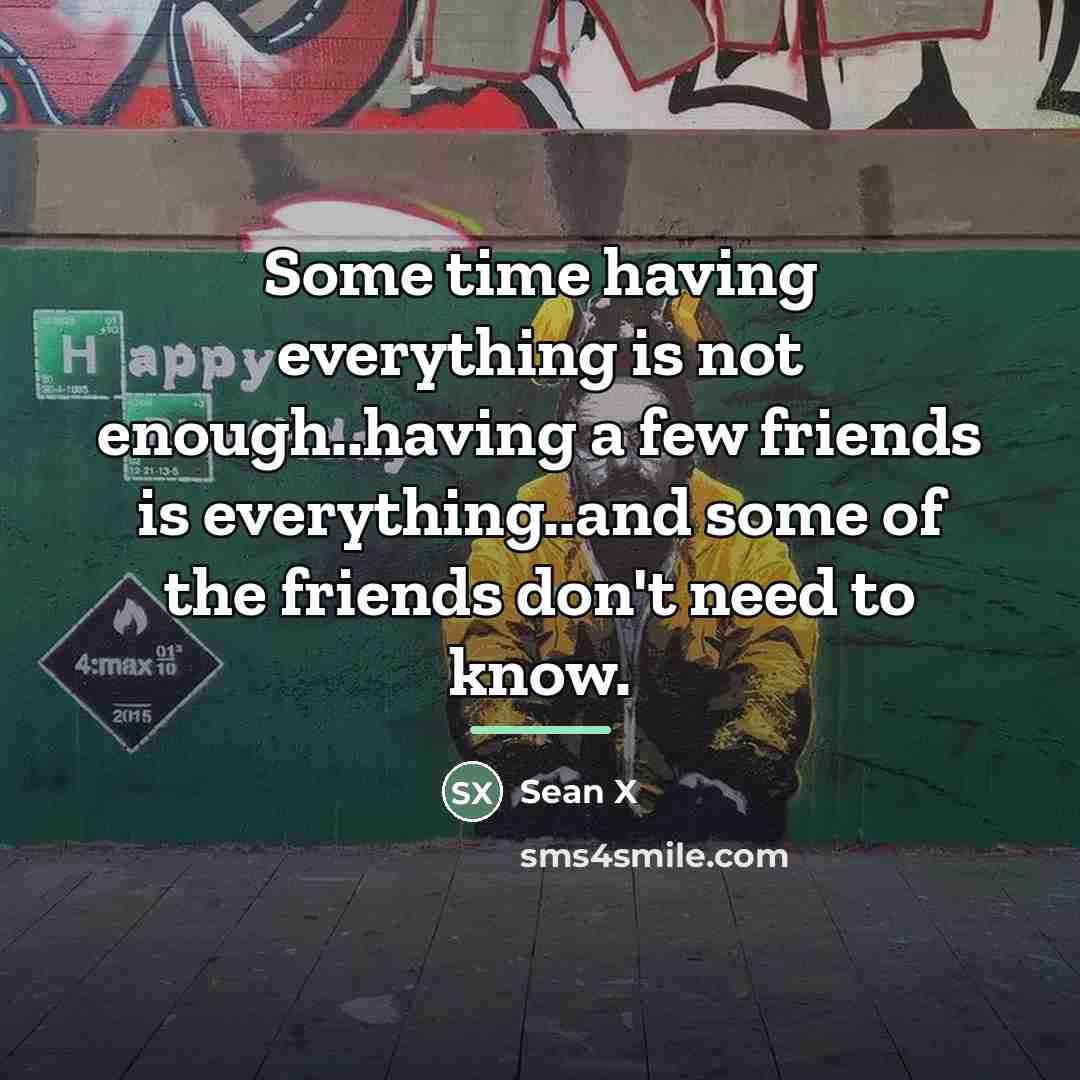 “Some time having everything is not enough..having a few friends…” quote by Sean X