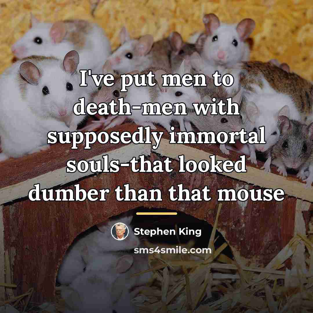 “I've put men to death-men with supposedly immortal souls-that looked…” quote by Stephen King