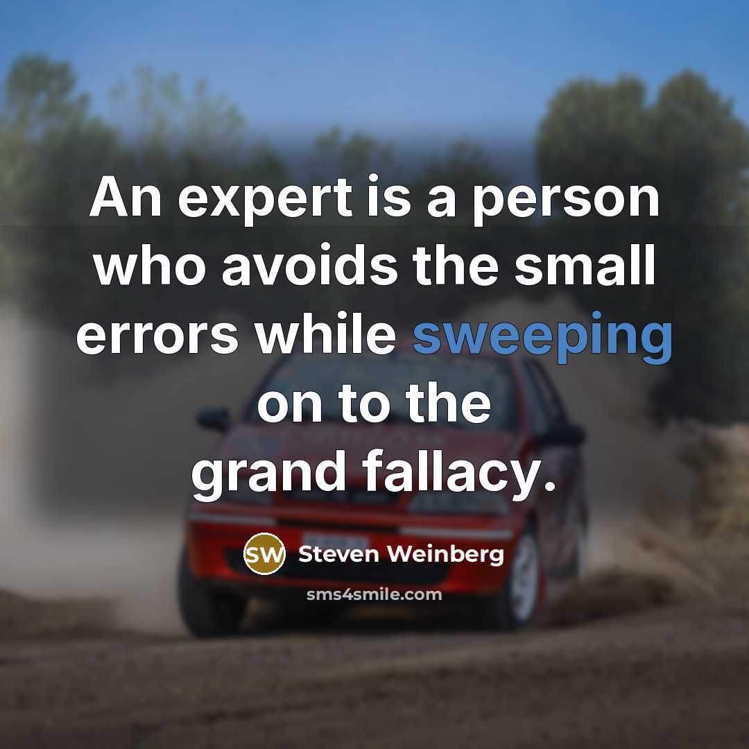 “An expert is a person who avoids the small errors…” quote by Steven Weinberg