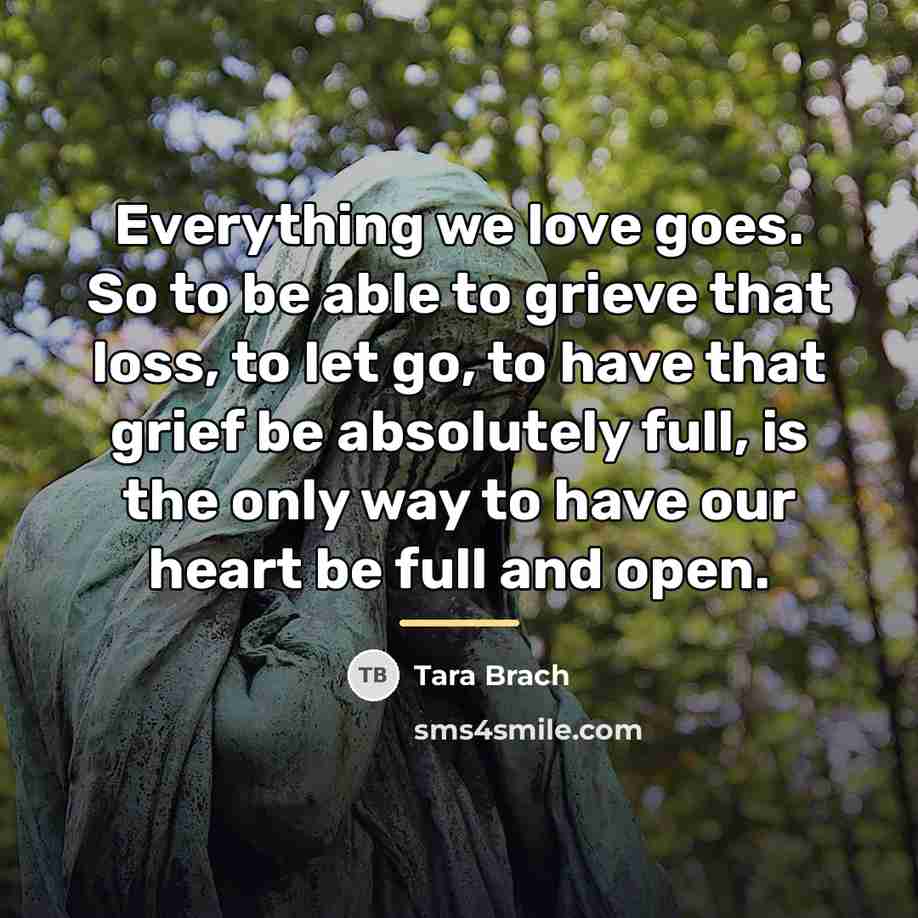 “Everything we love goes. So to be able to grieve…” quote by Tara Brach