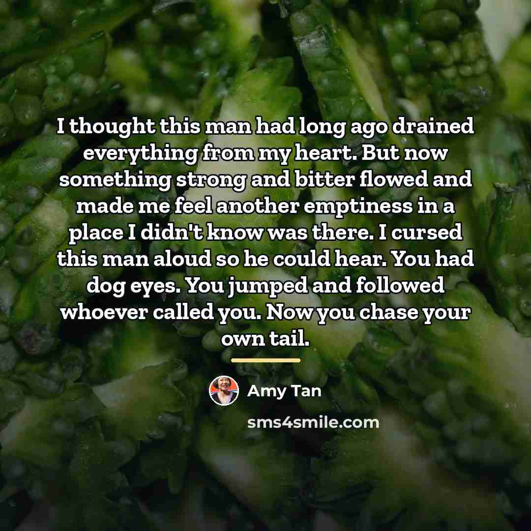 “I thought this man had long ago drained everything from…” quote by Amy Tan