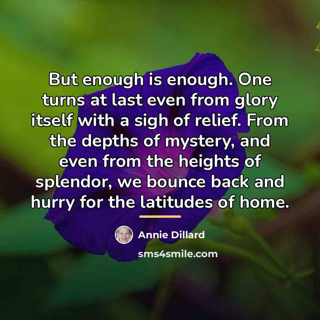 “But enough is enough. One turns at last even from…” quote by Annie Dillard