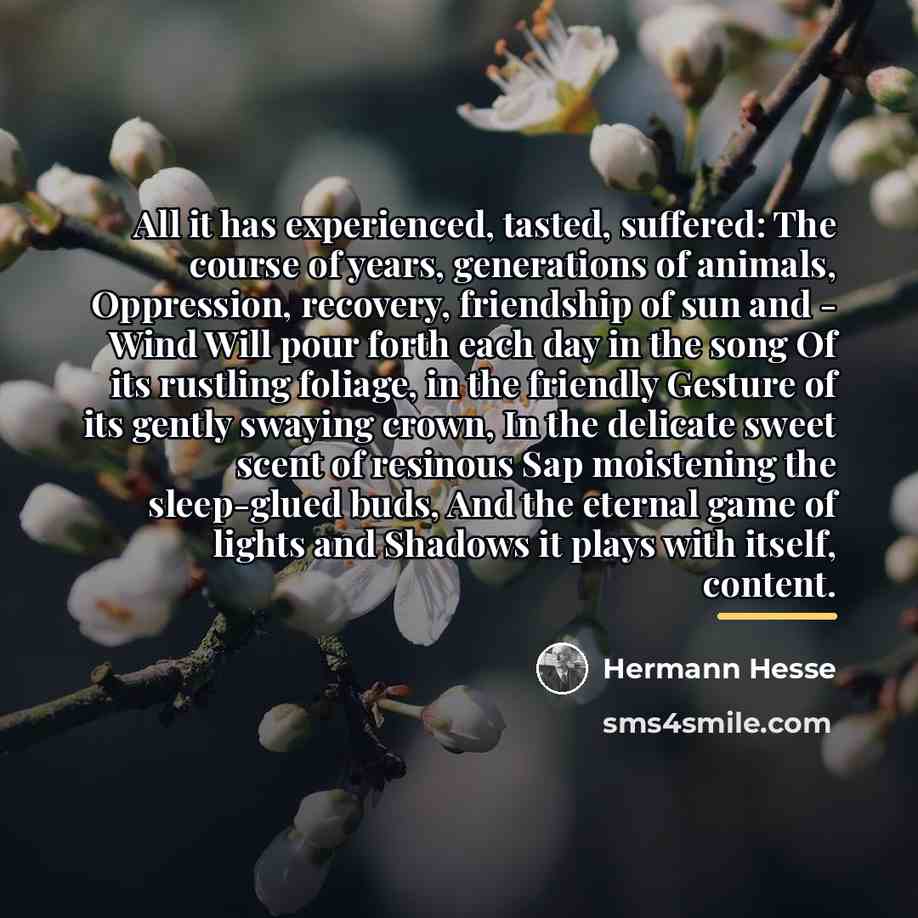 “All it has experienced, tasted, suffered: The course of years,…” quote by Hermann Hesse