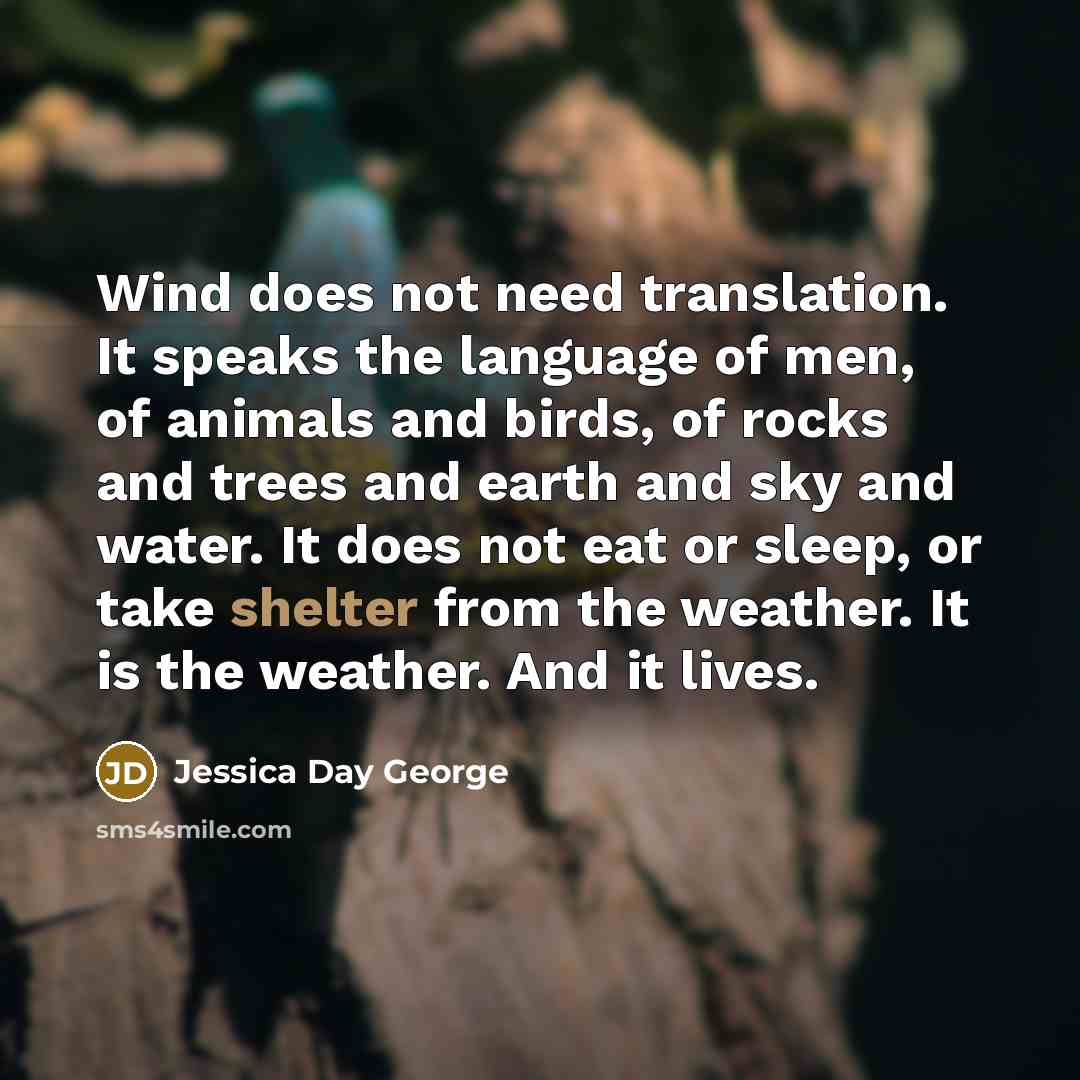 “Wind does not need translation. It speaks the language of…” quote by Jessica Day George