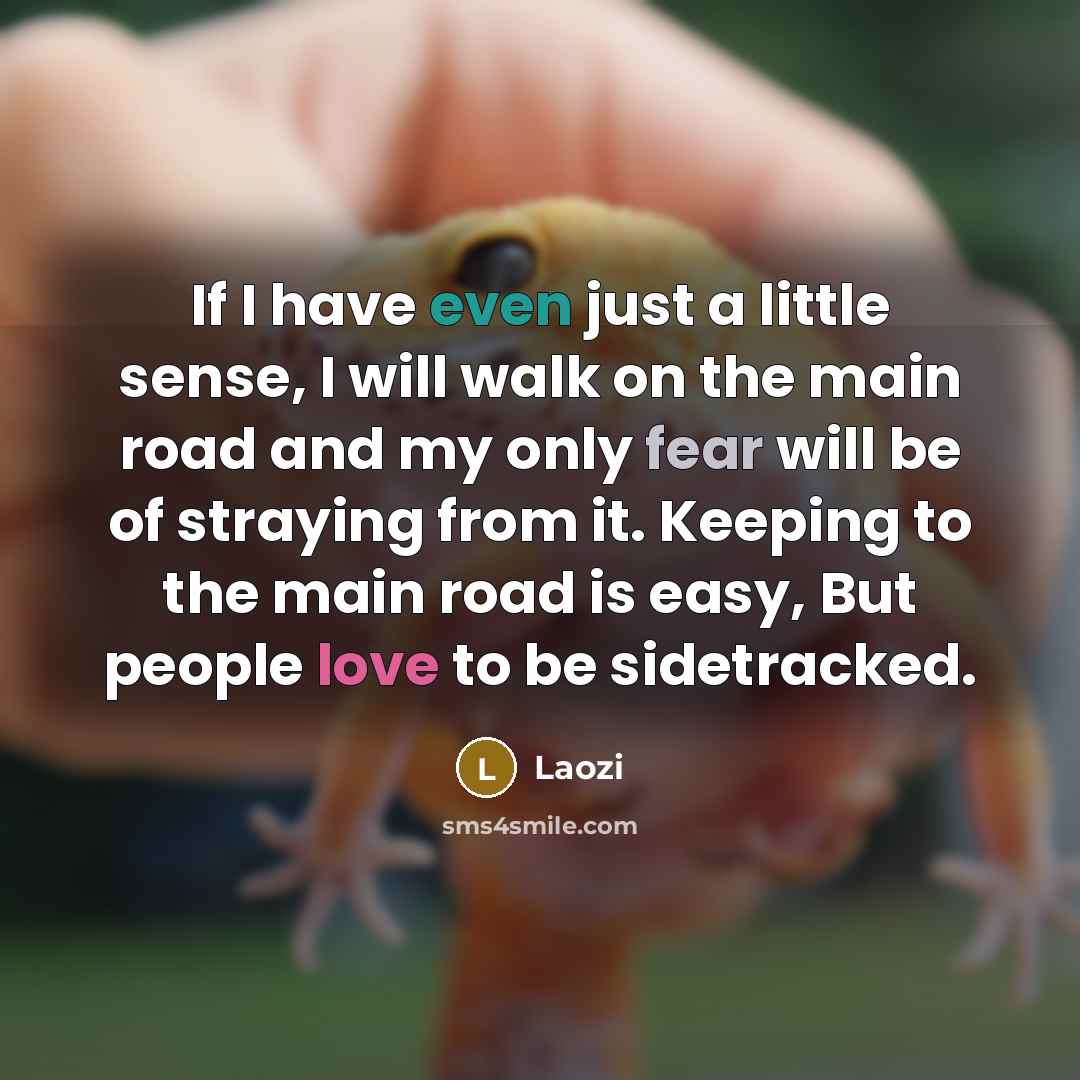 “If I have even just a little sense, I will…” quote by Laozi