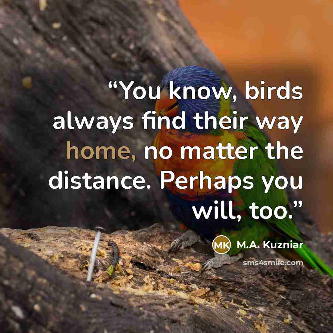 “You know, birds always find their way home, no matter the distance. Perhaps you will, too.” quote by M.A. Kuzniar