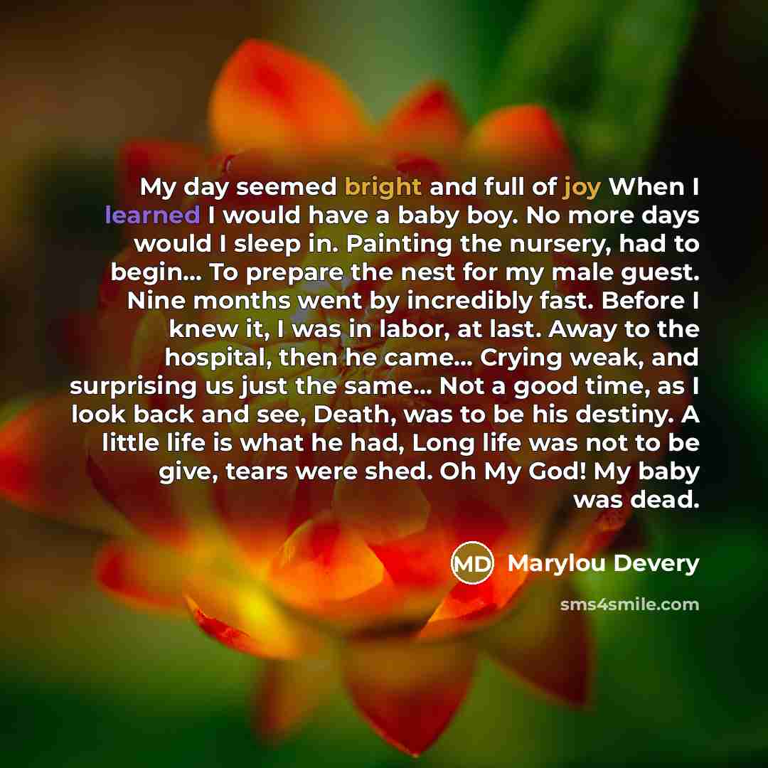 “My day seemed bright and full of joy When I learned I would have a baby boy. No more days would I sleep in. Painting the nursery, had to begin... To prepare the nest for my male guest. Nine months went by incredibly fast. Before I knew it, I was in labor, at last. Away to the hospital, then he…” quote by Marylou Devery