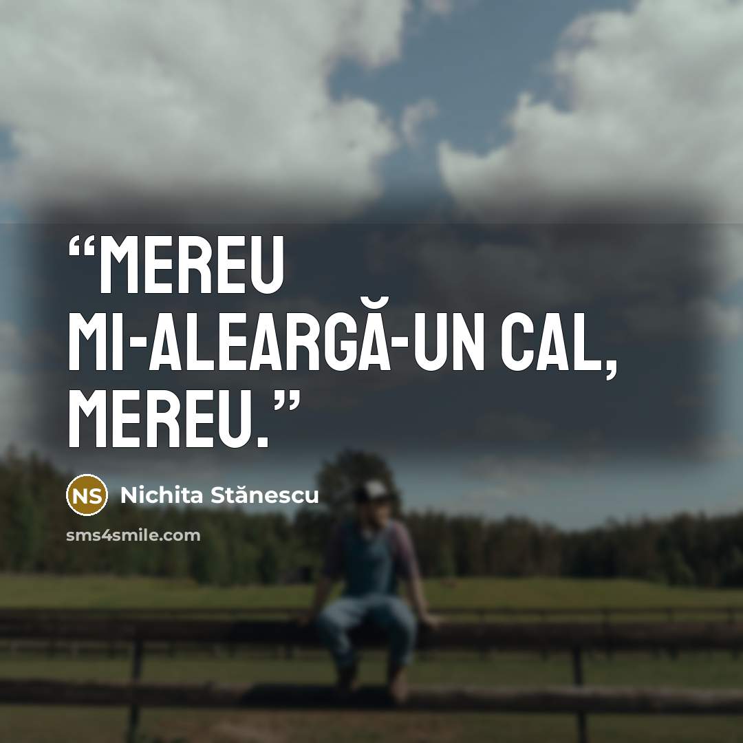 “mereu mi-aleargă-un cal, mereu.” quote by Nichita Stănescu