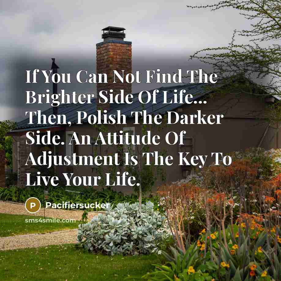 “If You Can Not Find The Brighter Side Of Life...…” quote by Pacifiersucker
