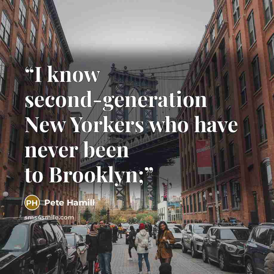 “I know second-generation New Yorkers who have never been to Brooklyn;” quote by Pete Hamill