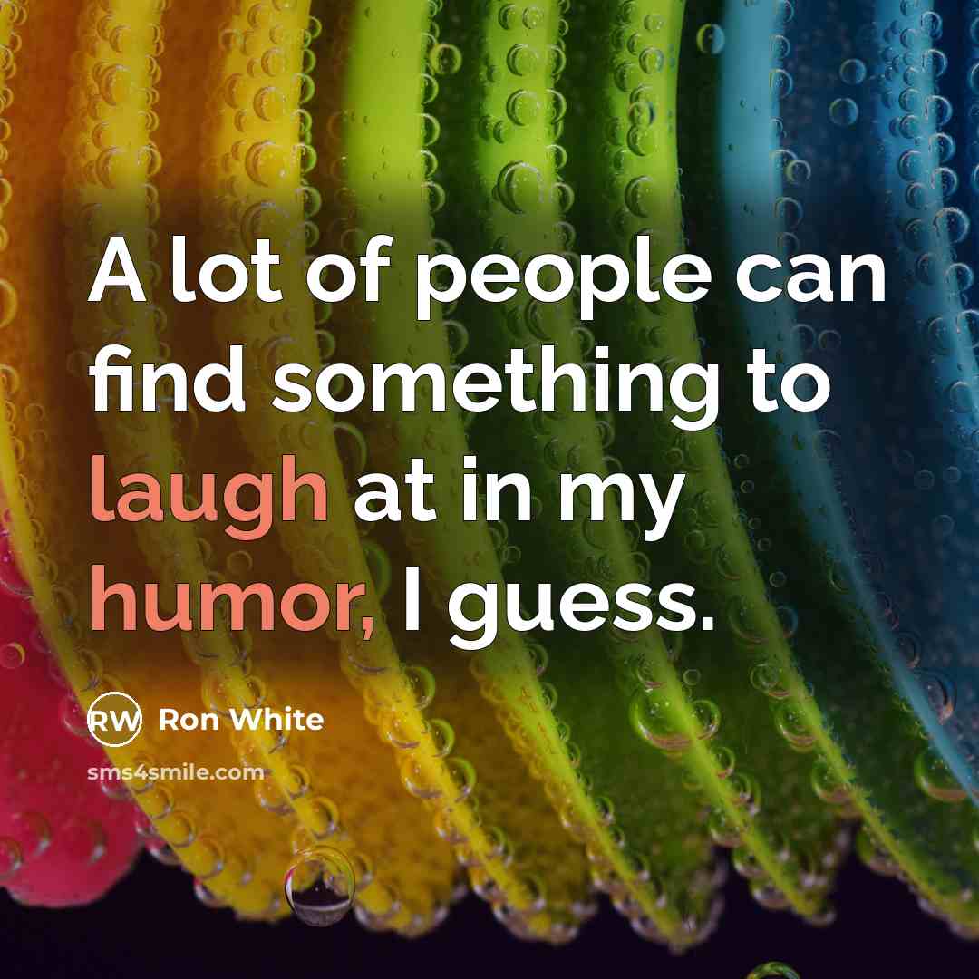 “A lot of people can find something to laugh at in my humor, I guess.” quote by Ron White