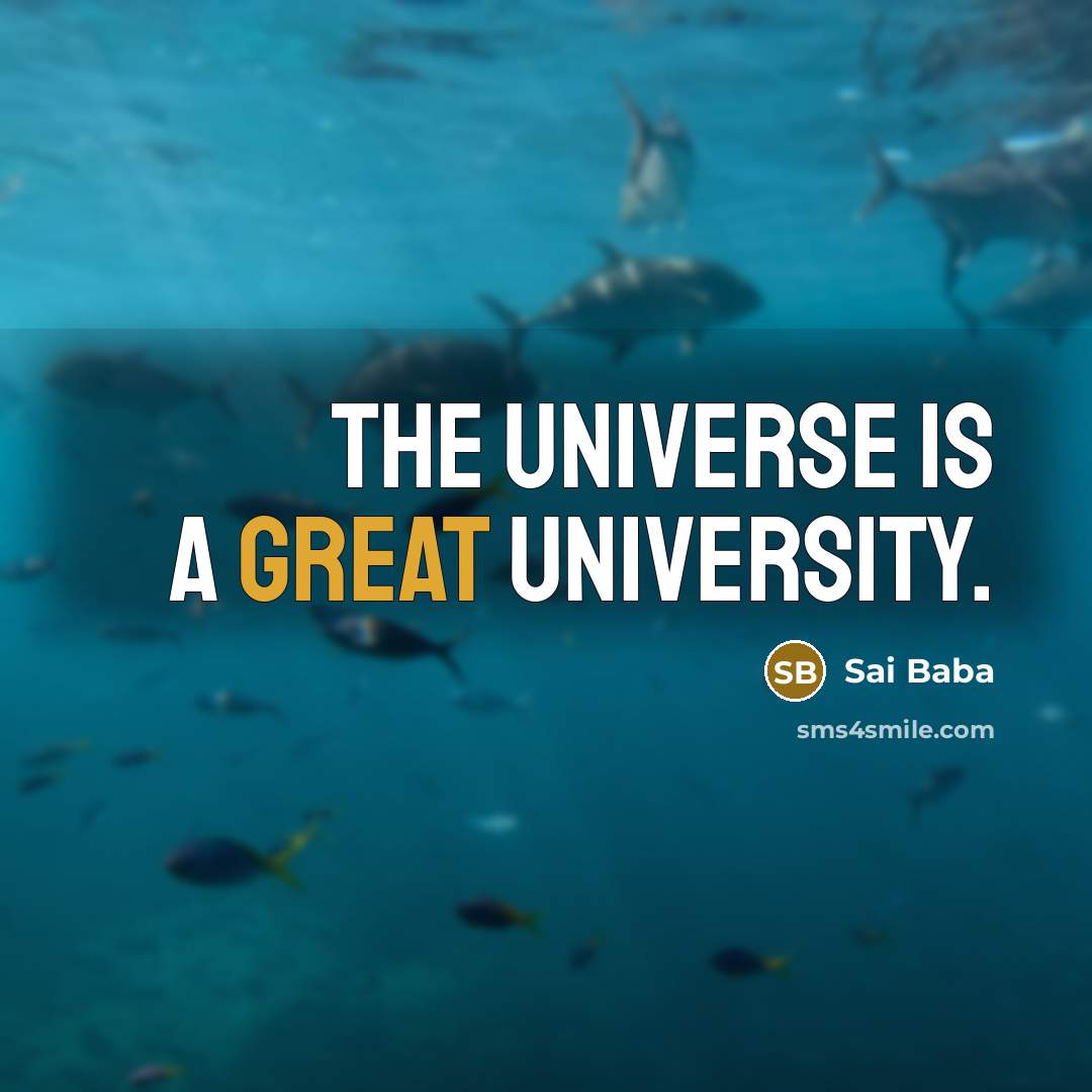 “The universe is a great university.…” quote by Sai Baba