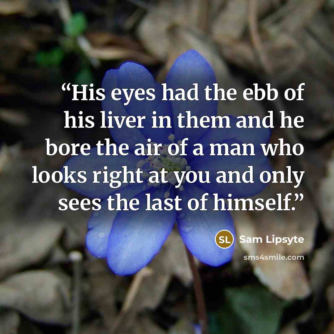 “His eyes had the ebb of his liver in them and he bore the air of a man who looks right at you and only sees the last of himself.” quote by Sam Lipsyte