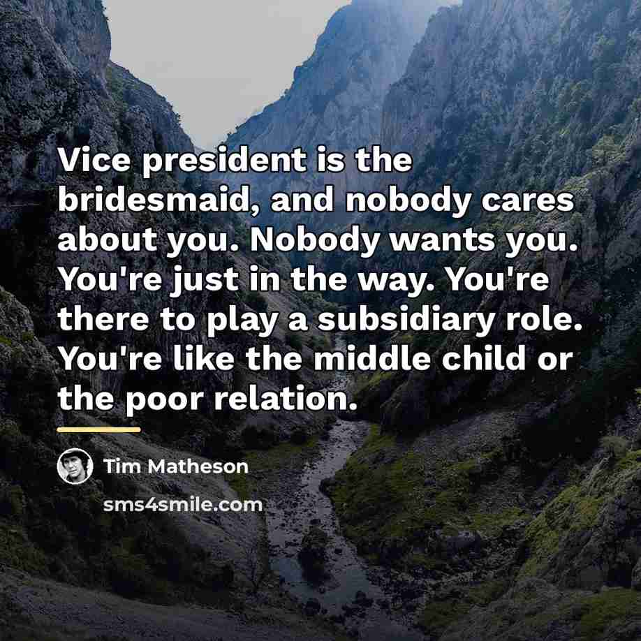“Vice president is the bridesmaid, and nobody cares about you.…” quote by Tim Matheson