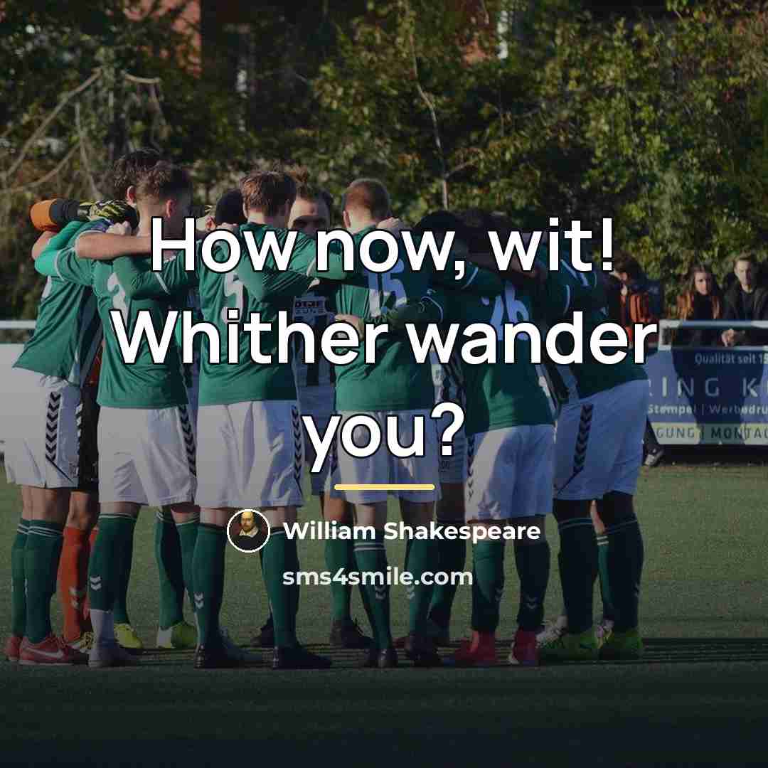 “How now, wit! Whither wander you?…” quote by William Shakespeare