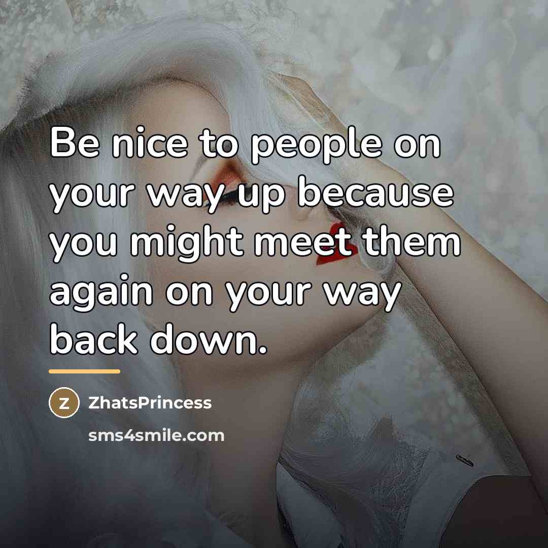 “Be nice to people on your way up because you…” quote by ZhatsPrincess