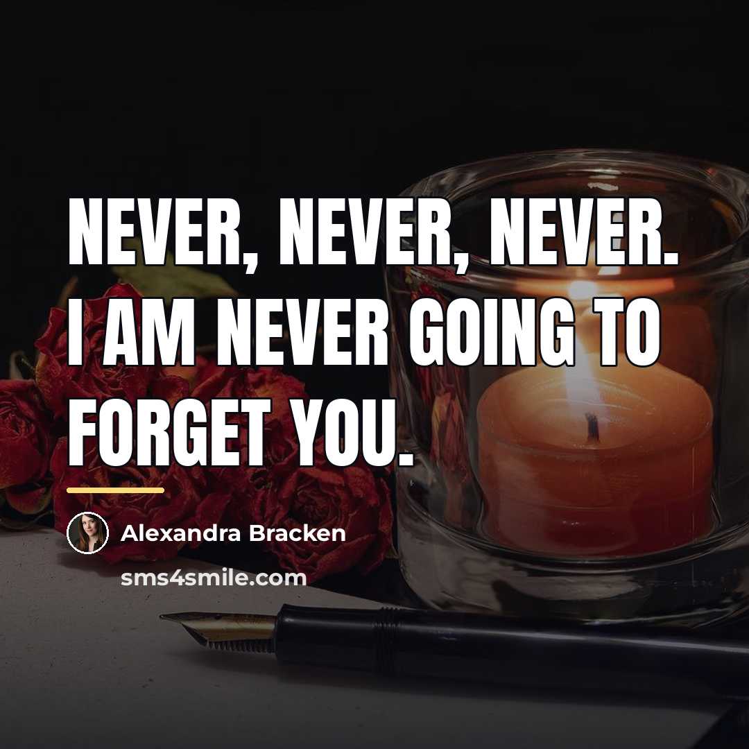 “Never, never, never. I am never going to forget you.…” quote by Alexandra Bracken