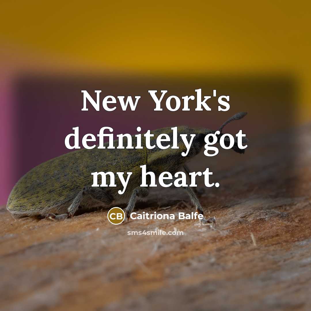 “New York's definitely got my heart.…” quote by Caitriona Balfe