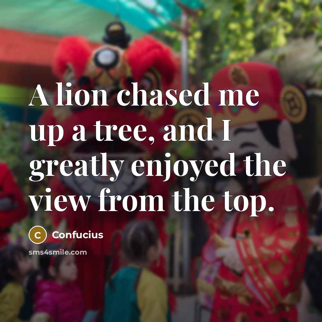 “A lion chased me up a tree, and I greatly enjoyed the view from the top.” quote by Confucius