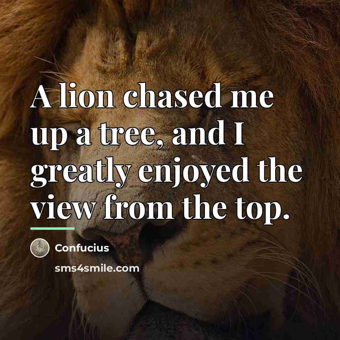 “A lion chased me up a tree, and I greatly…” quote by Confucius
