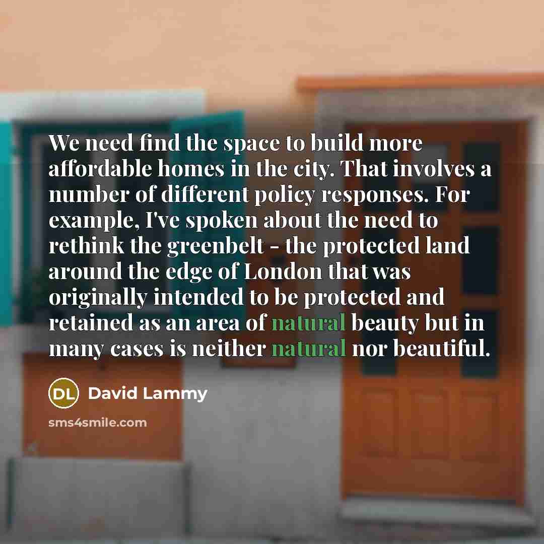 “We need find the space to build more affordable homes…” quote by David Lammy