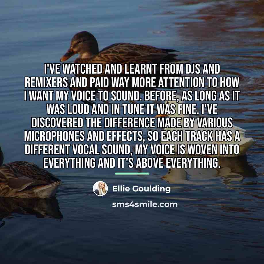 “I've watched and learnt from DJs and remixers and paid…” quote by Ellie Goulding