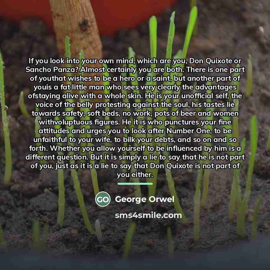 “If you look into your own mind, which are you,…” quote by George Orwel